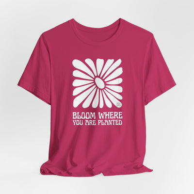 Bloom Where You Are Planted Cozy T-Shirt