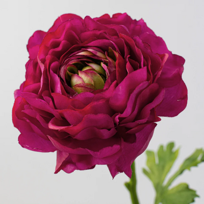 💙 Deep Pink Ranunculus 20" Floral Stem
