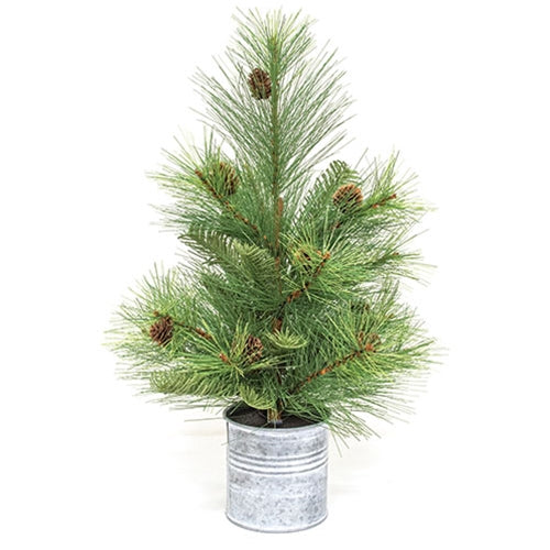 Forest Path Pine Faux Tree in Pail 18" H