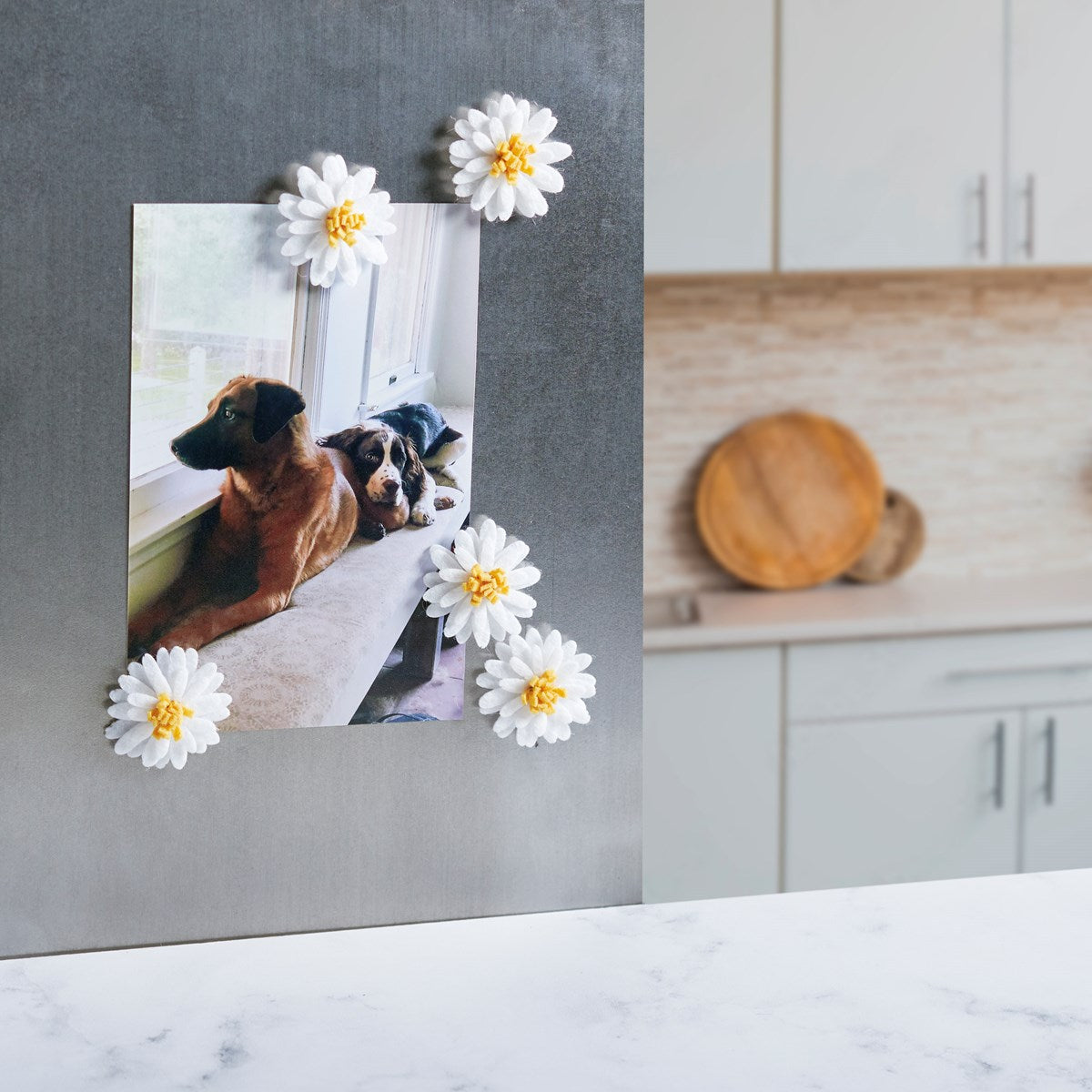 White Daisy Felt Magnets Set of 5