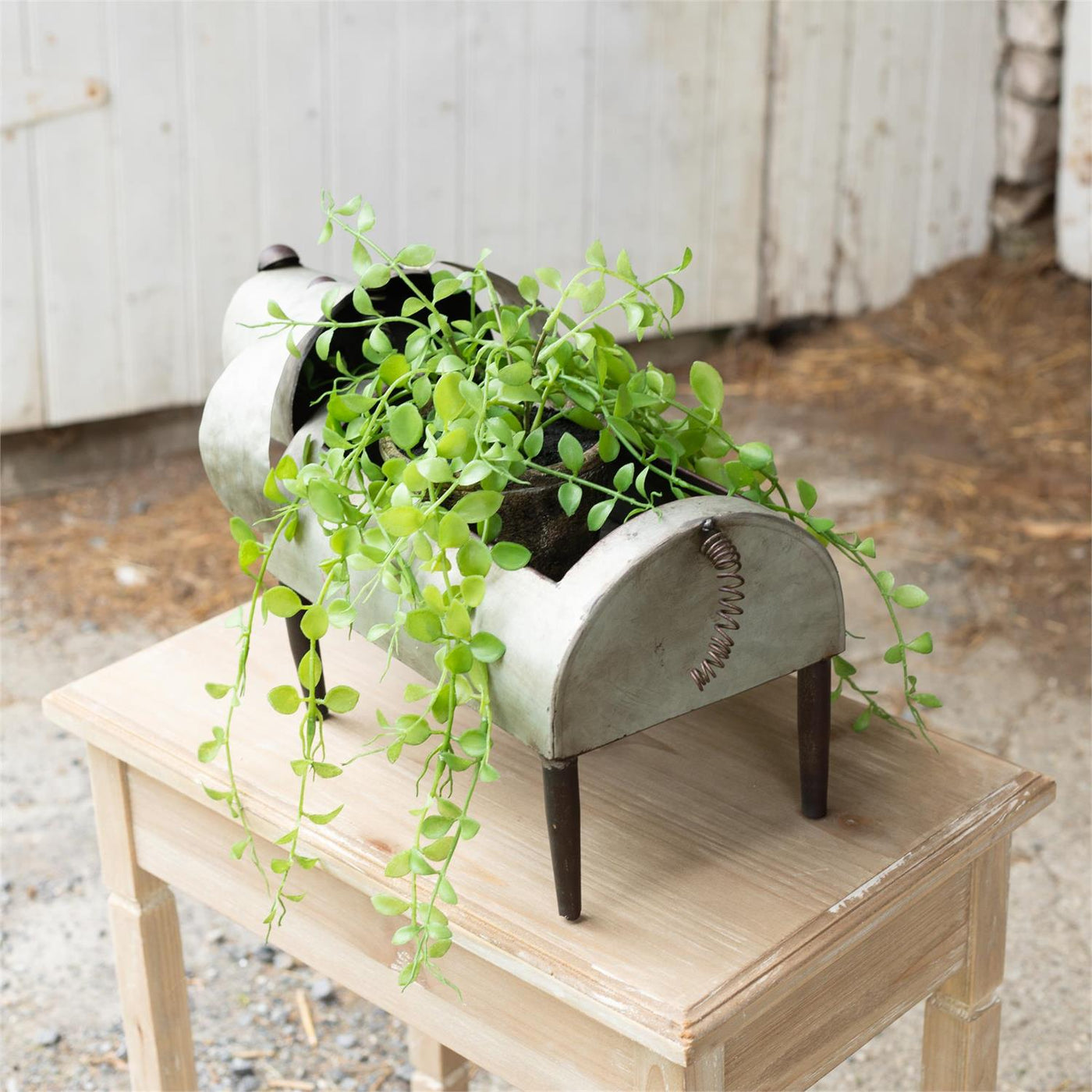 Galvanized Metal Dog Planter