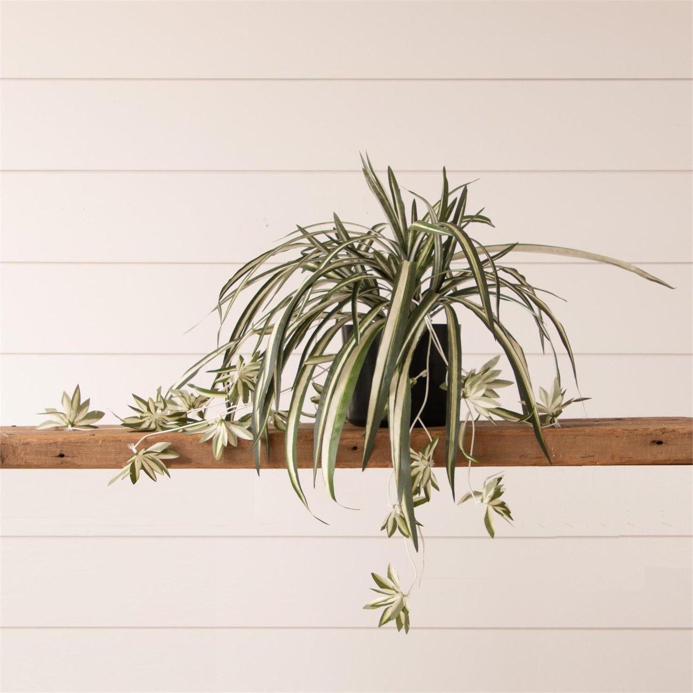 Spider Plant 14" Faux Foliage Potted Plant