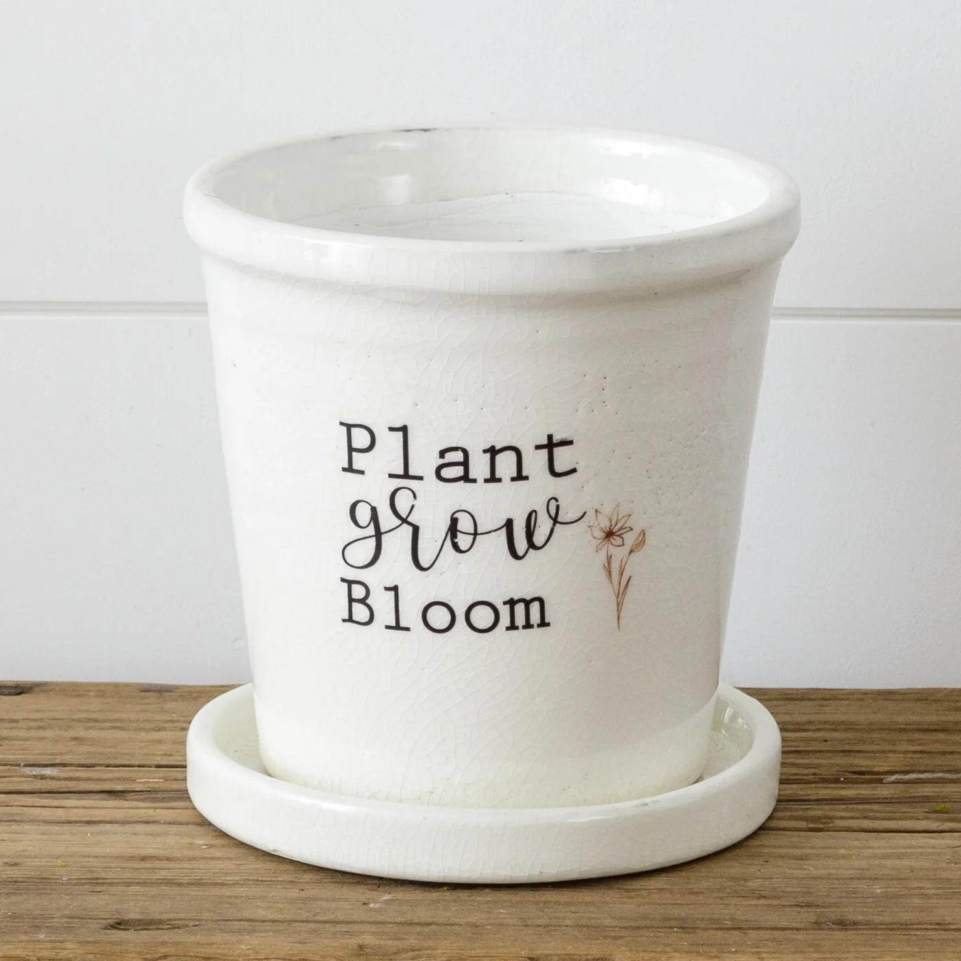 Plant, Grow, Bloom Ceramic Pot with Saucer