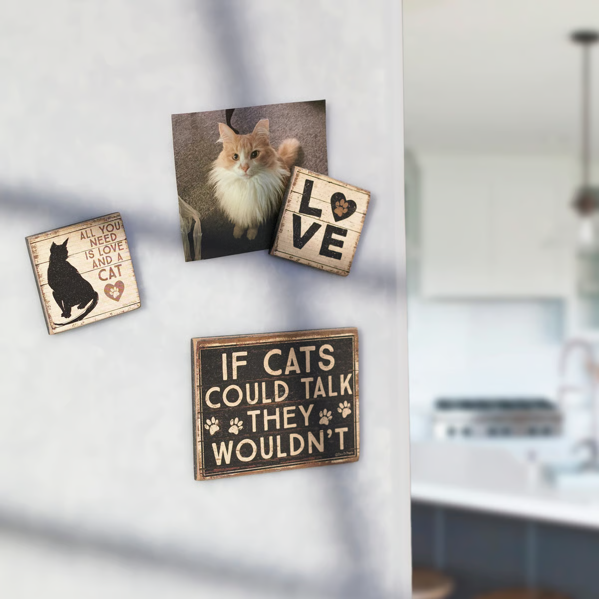 All You Need Is Love And A Cat Magnet Set