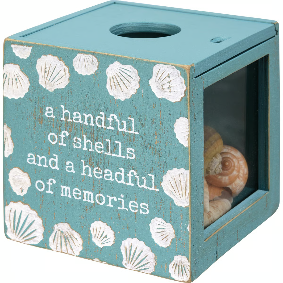 Headful A Handful OF Shells A Headful Of Memories Shell Holder – Blueberry Lane ...