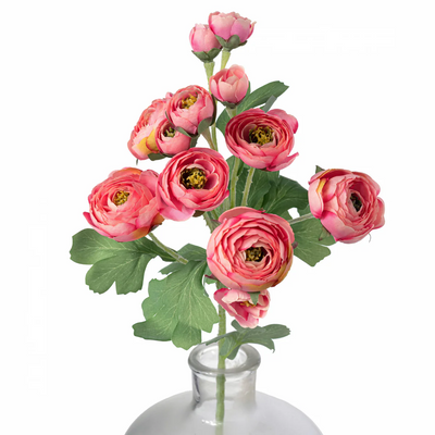Coral Pink Ranunculus 21" Spray