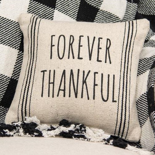 Forever Thankful 10" Striped Natural Pillow