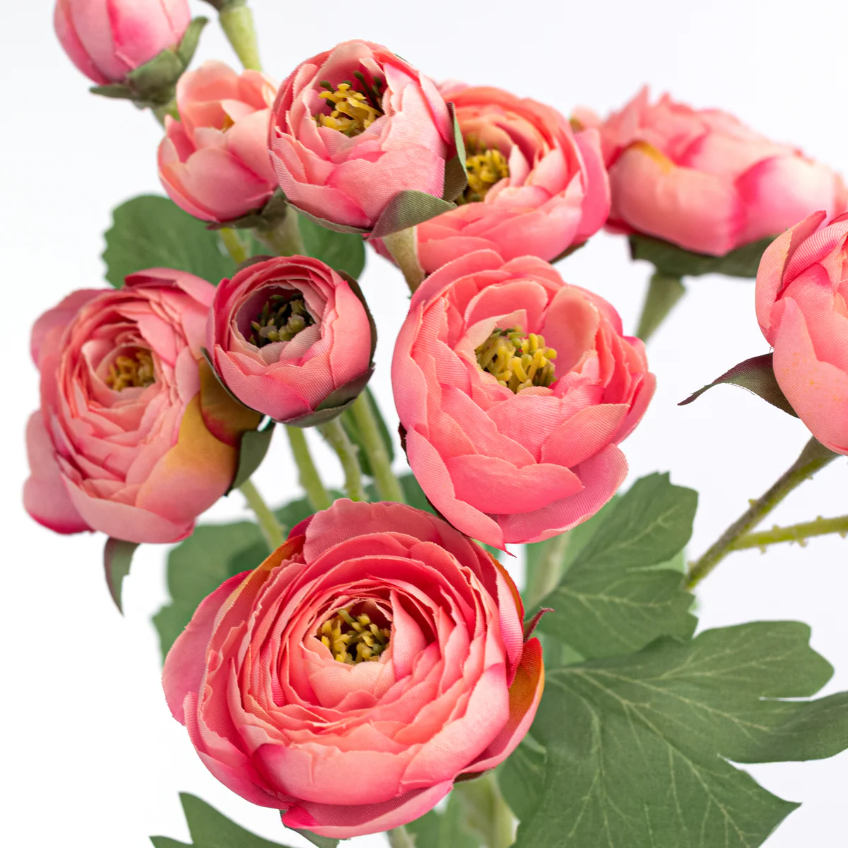 Coral Pink Ranunculus 21" Spray