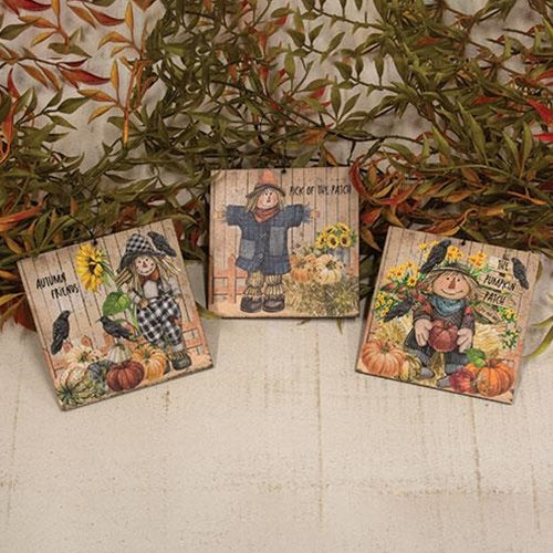 Set of 3 Scarecrow & Friends Square Ornaments