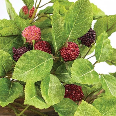 Raspberries and Folidage 22" Faux Hanging Bush