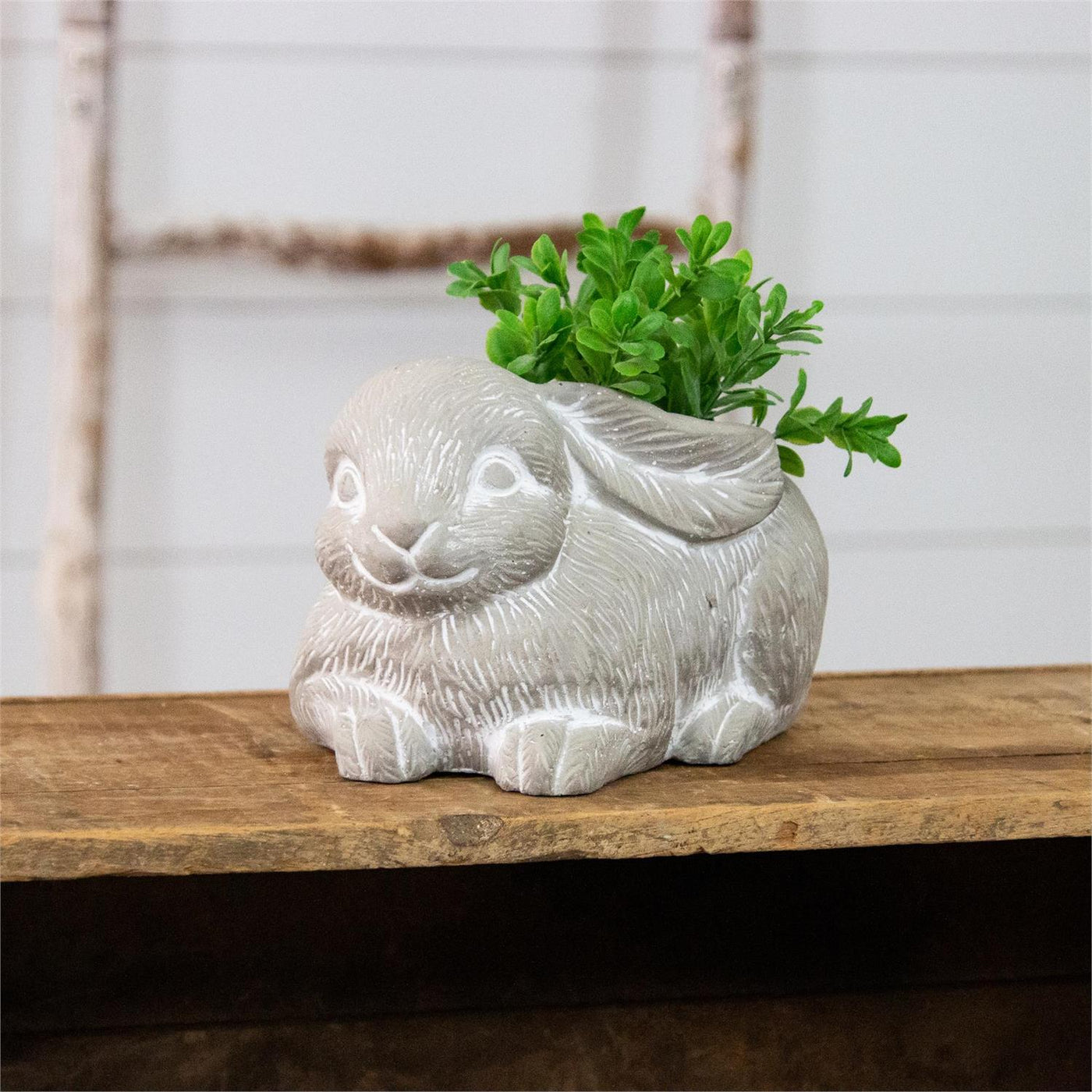 DAY 1 🐇🐥 20 DAYS OF BUNNIES + CHICKS Natural Bunny Shaped Cement Planter