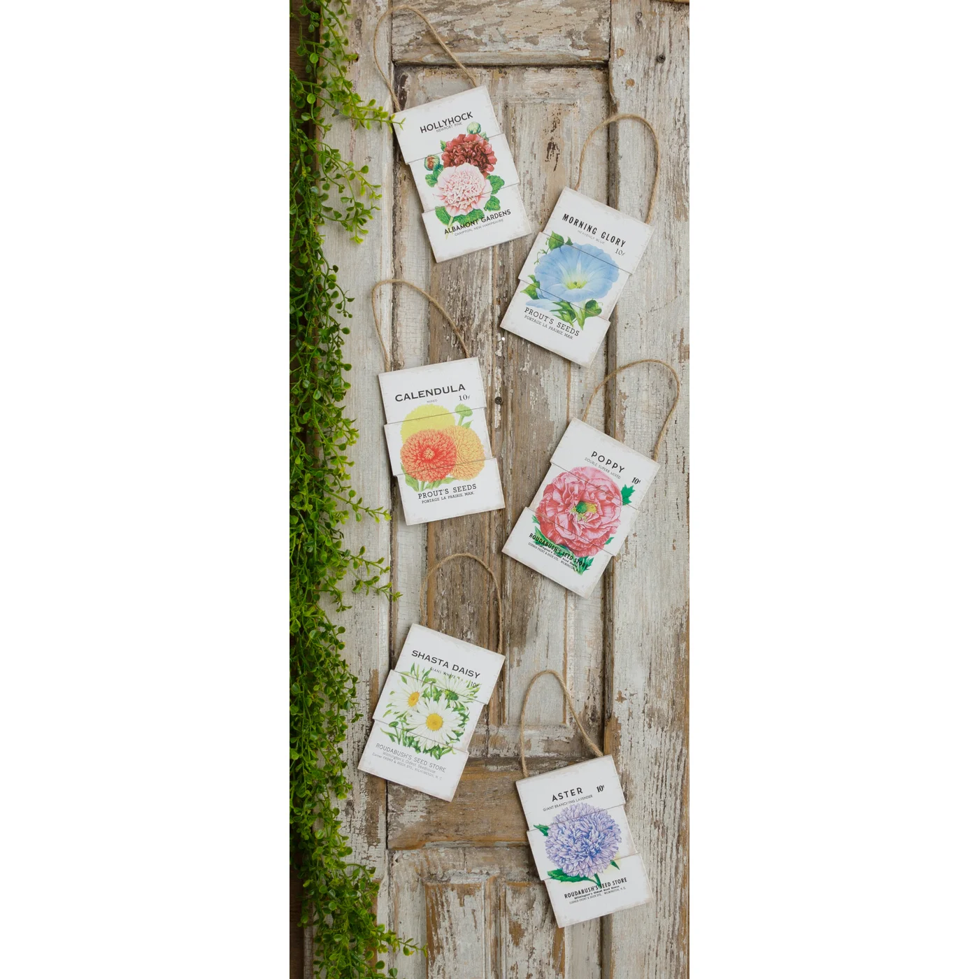 Set of 6 Flower and Seed Co Mini Signs