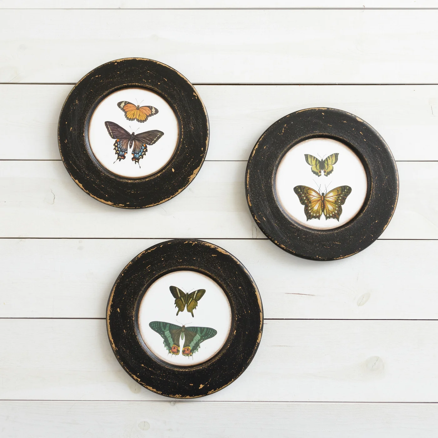 Set of 3 Butterfly Wooden Hanging Decorative Plates