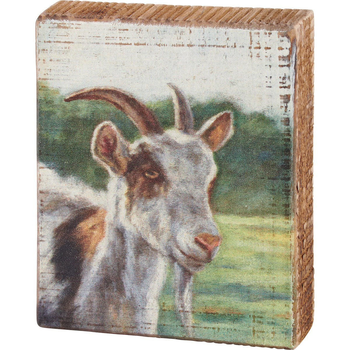 Brown And White Goat 5" Wooden Block Sign
