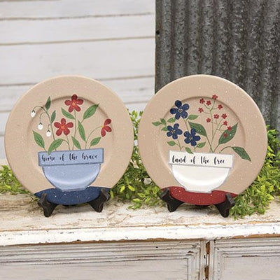 💙 Set of 2 Land of the Free Flowers 8.5" Decorative Americana Plates