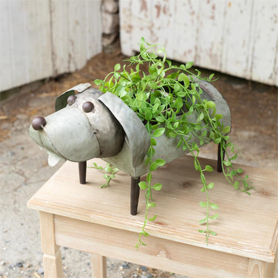 Galvanized Metal Dog Planter