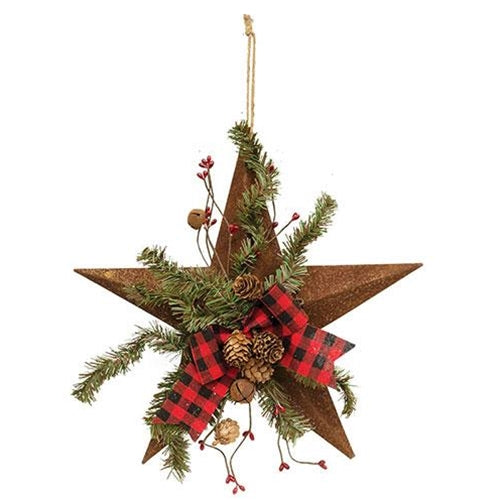 HAPPY BIRTHDAY🎂 💙 Rusty Metal Woodland Pine Star With Ribbon