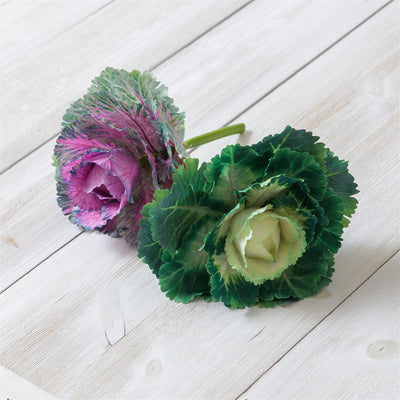 Purple and Green Ornamental Cabbage Faux Picks