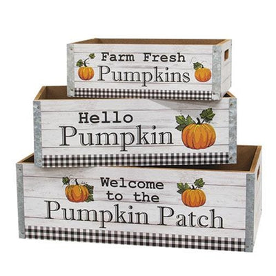 Welcome to the Pumpkin Patch Crates Set of 3
