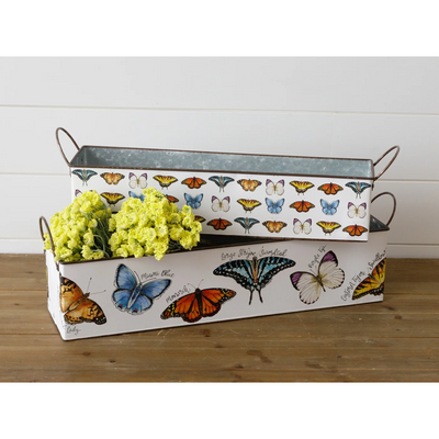 Set of 2 Nested Rectangular Butterfly Tins