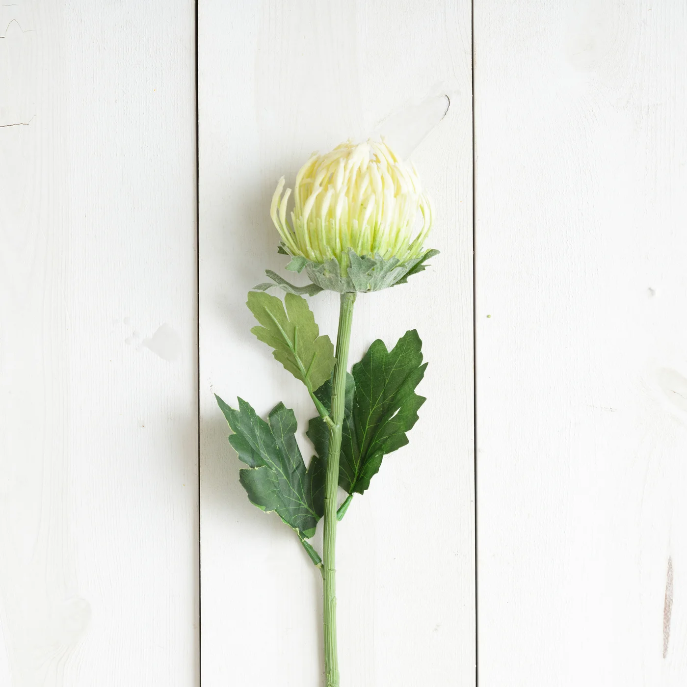 💙 White Protea 23" Faux Floral Stem