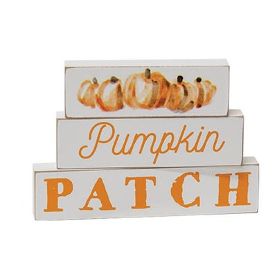 HAPPY BIRTHDAY🎂 💙 Pumpkin Patch Mini Stick Wooden Blocks