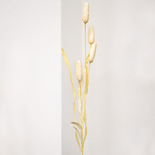 Wispy Bunny Tail & Leaf 24" Faux Floral Spray