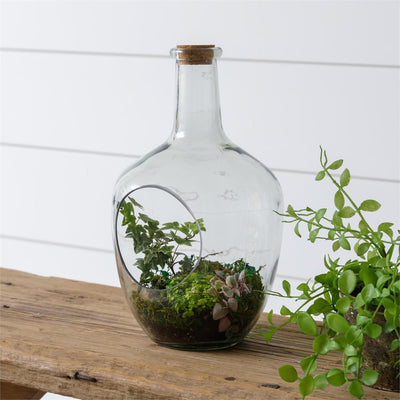 Glass Terrarium with Front Opening with Cork 12" H