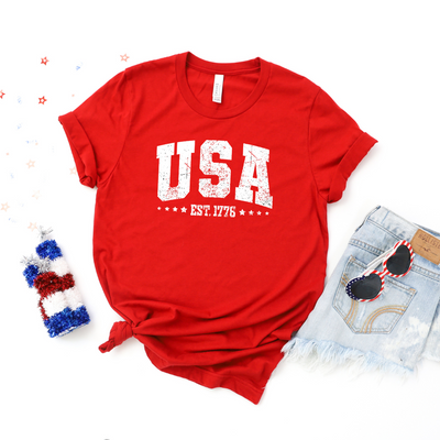 🔥 USA Established 1776 Cozy T-Shirt