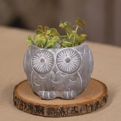 Garden Owl Resin Small 2" H Planter