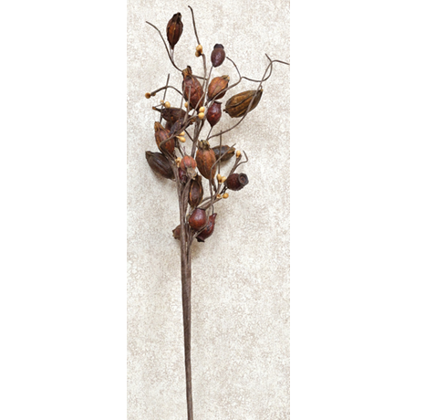 Dried Rose Hip and Pip Berries 12" Pick