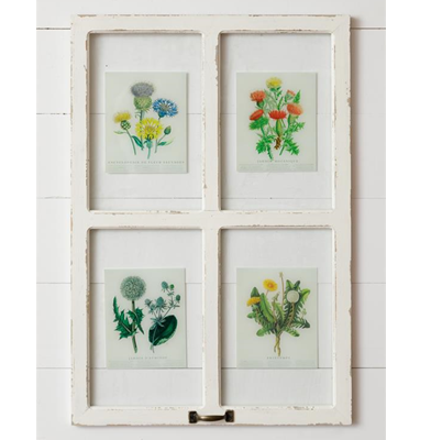 Four Panel Window with Botanical Illustrations