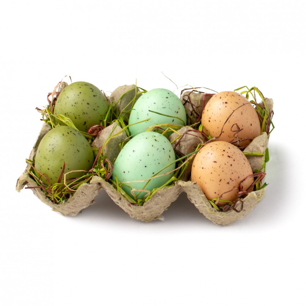 Set of 6 Natural Colored Matte Eggs in Carton