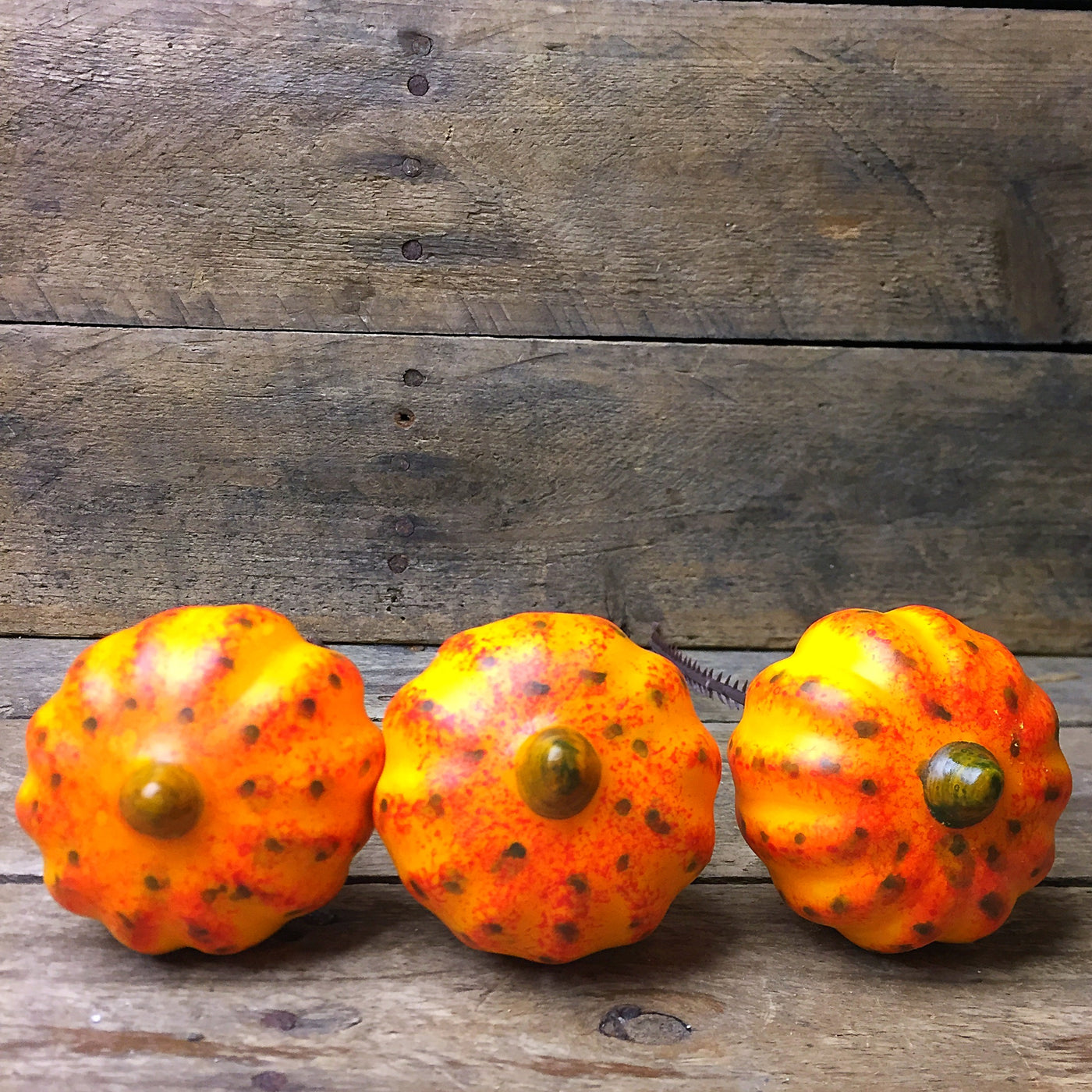 Set of Six Pumpkin and Gourds Decorative Picks
