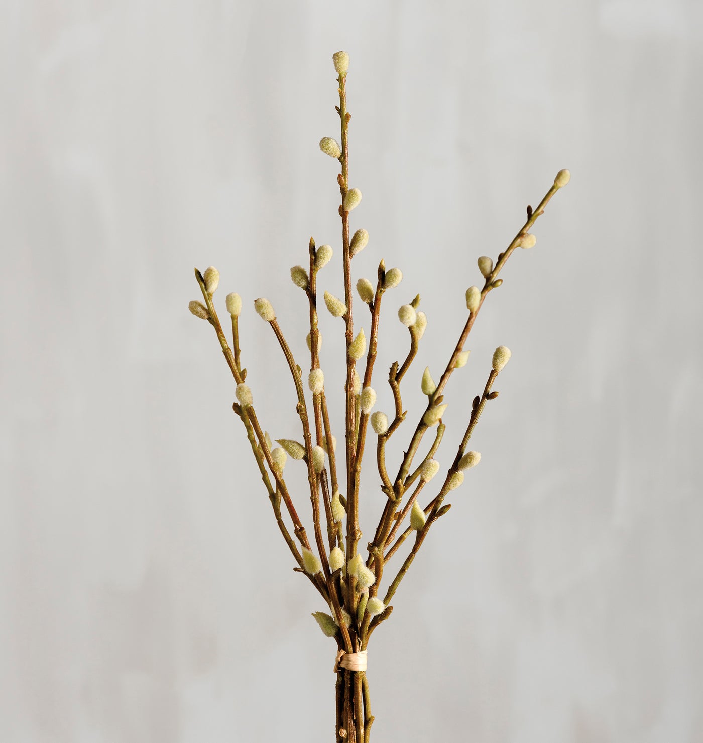 PussyWillow 17" Faux Floral Stems