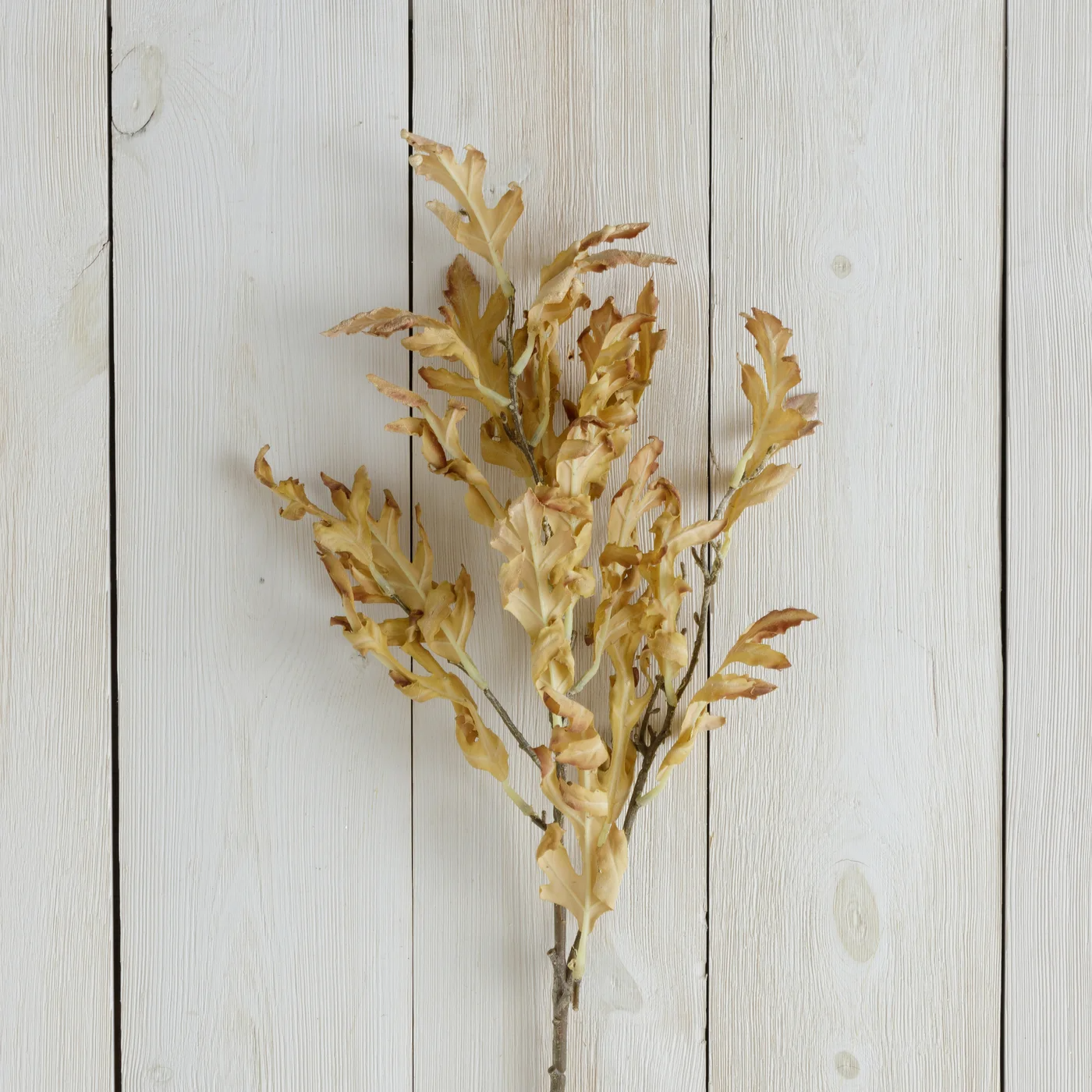 Dried Oak Leaves 30" Faux Foliage Branch