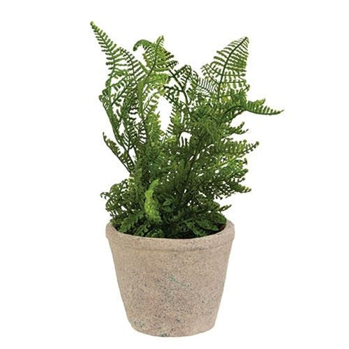 💙 Fine Fern 8" Faux Foliage Plant in Cement Pot
