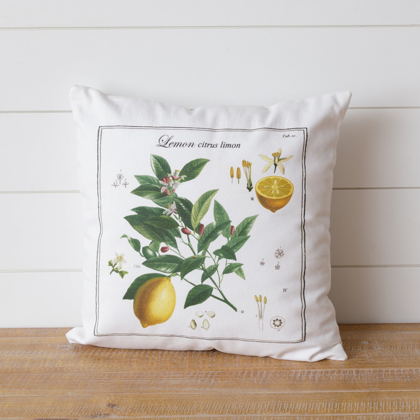 Lemon Botanical 16" Throw Pillow