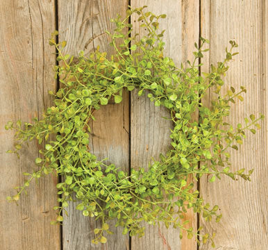 💙 Light Green Peppergrass 10" Small Wreath Ring