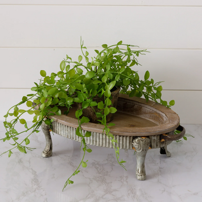 Wooden Distressed Tray with Clawfoot Metal Base