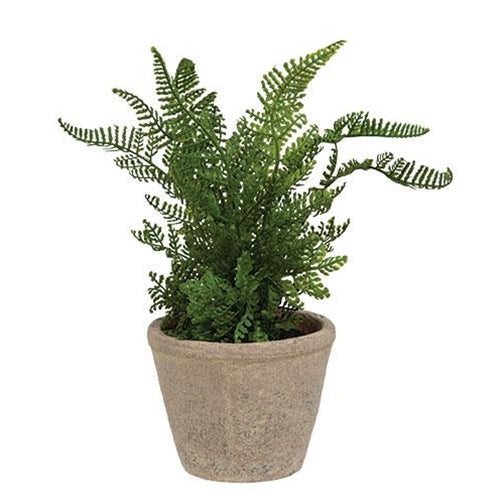 Feathery Fern 8" Faux Foliage Plant in Cement Pot