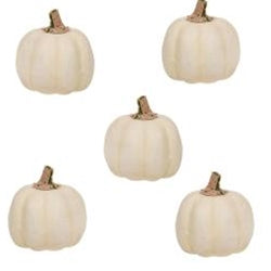 Set of 5 Mossy Stem Cream Decorative Pumpkins 3" H