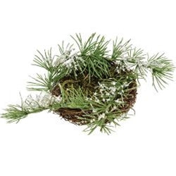 💙 Icy Pine & Moss Decorative Bird Nest