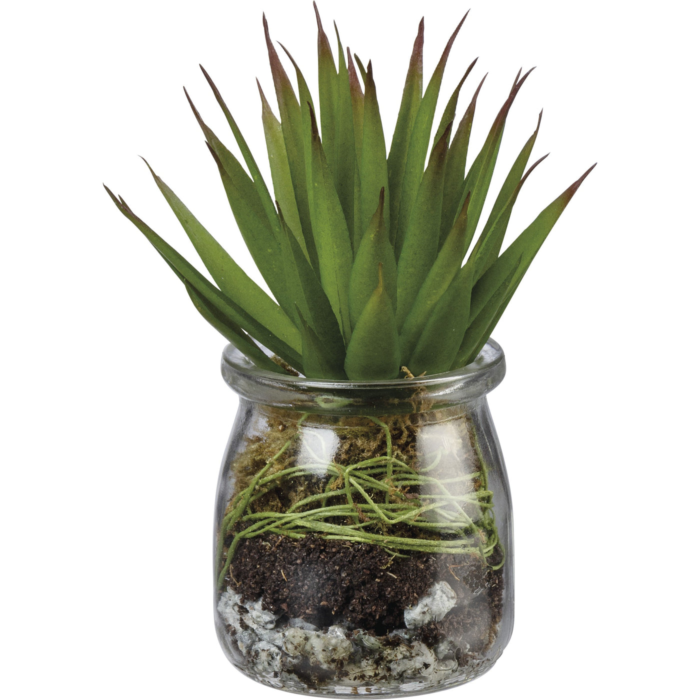 Aloe Succulent Faux Plant in Jar