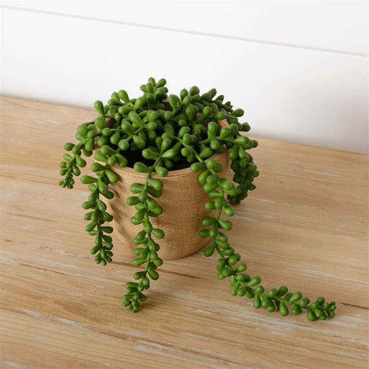 String Of Pearls Potted Faux Foliage Plant