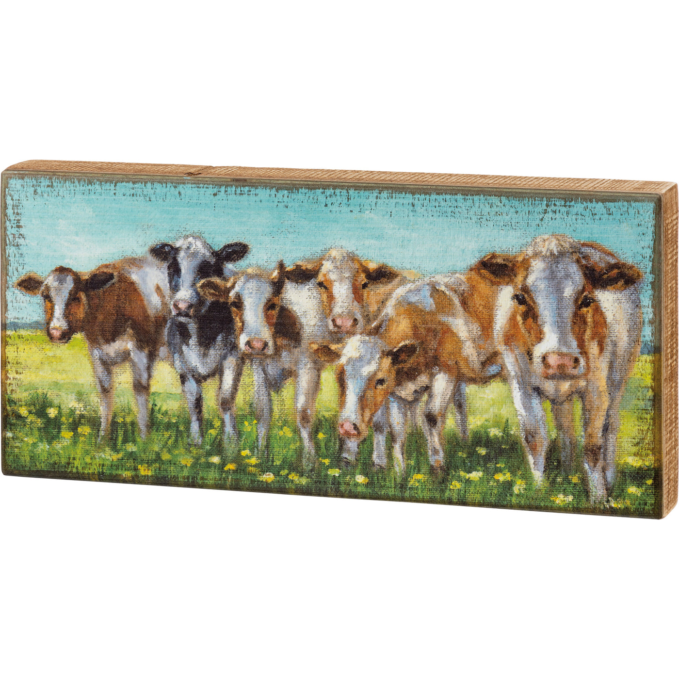 💙 Cows in a Row in the Field Box Sign