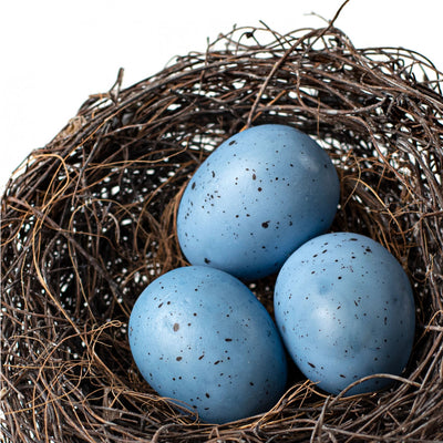 Vine Bird Nest with Natural Blue Eggs 5"