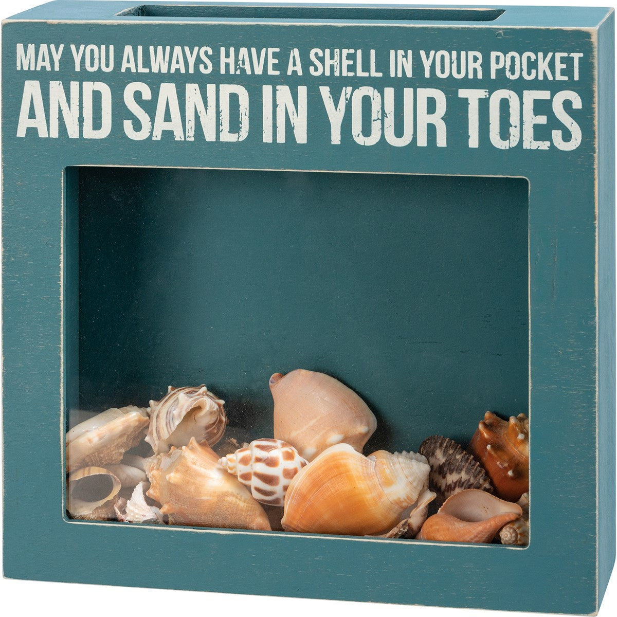May You Always Have A Shell In Your Pocket Shell Box