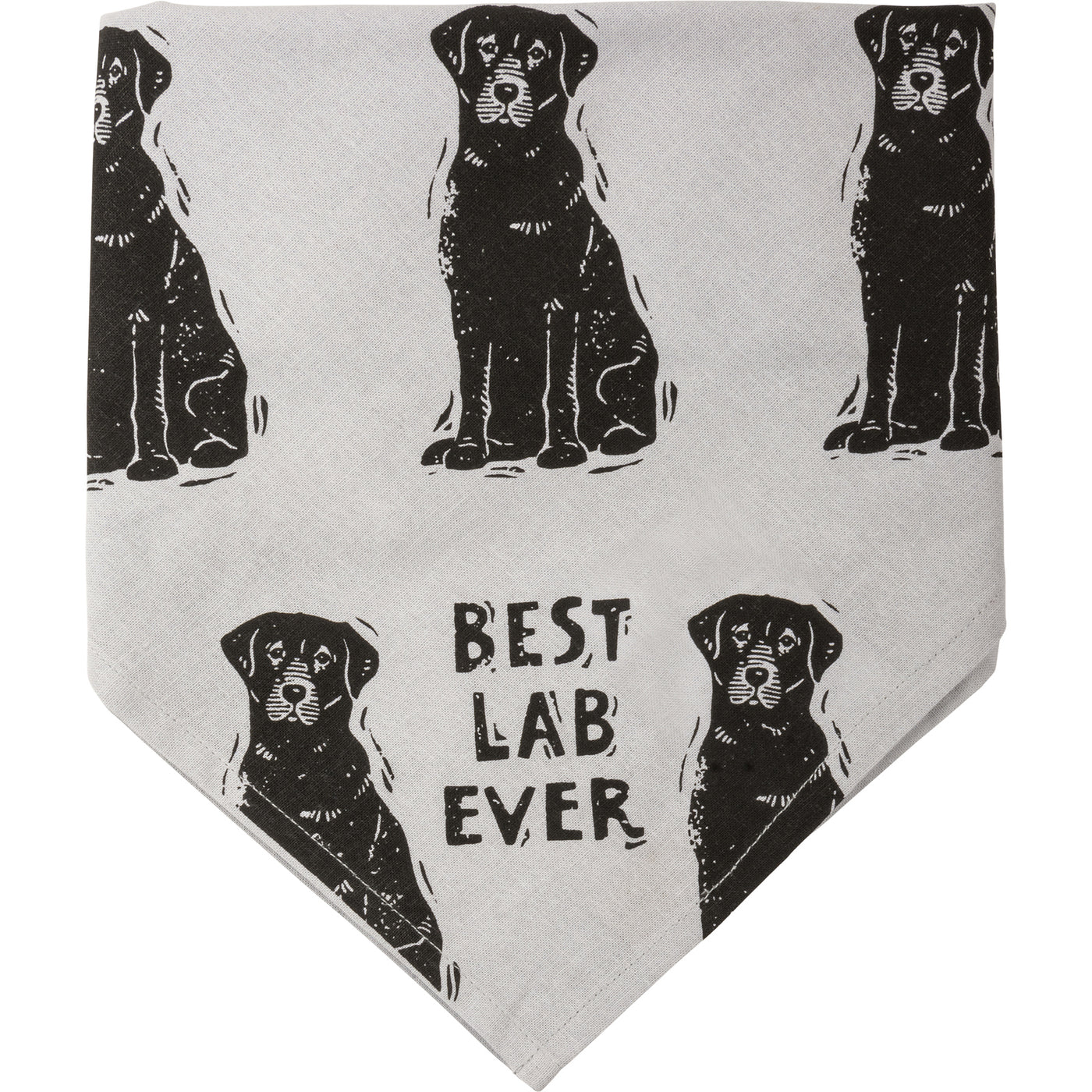 Surprise Me Sale 🤭 Best Lab Ever Love My Human Pet Bandana Large
