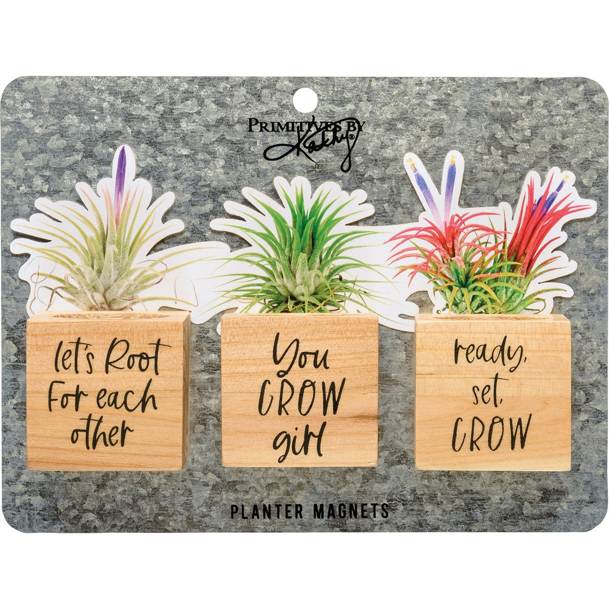 Set of 3 You Grow Girl Mini Wooden Air Plant Holder Magnets